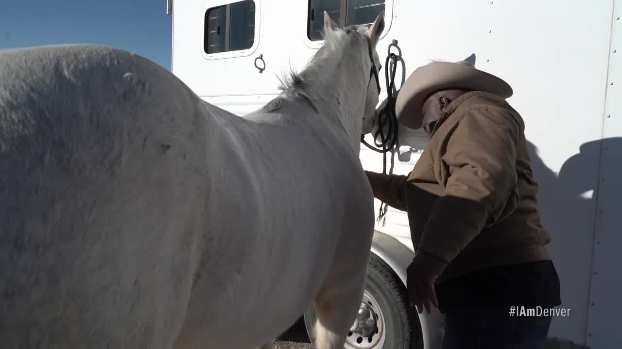 Black History in Colorado: Cowboys and Rodeo