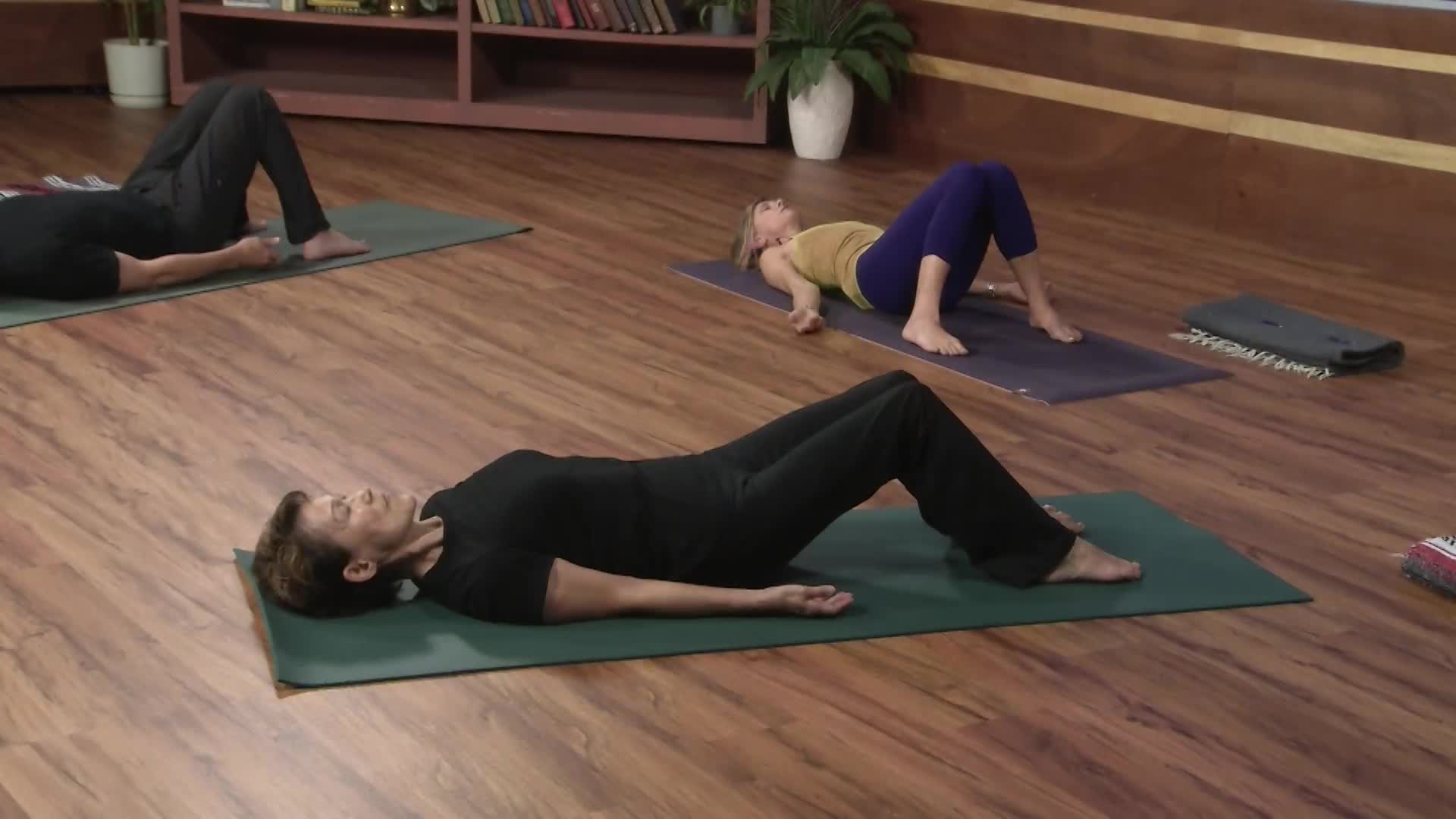 Beginning Yoga w/Lisa Behrendt-02 Breath and Movement