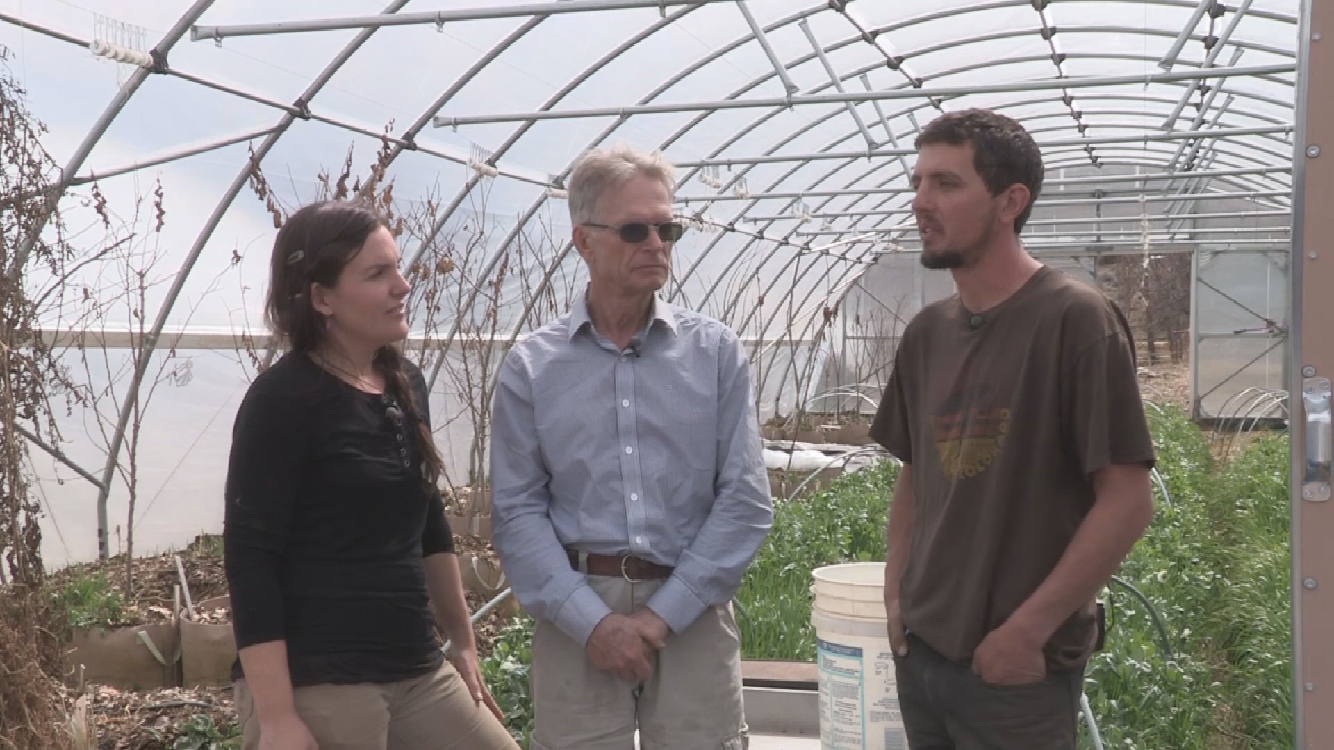 Grow Up! A Guide to Growing Food Naturally-Wild Mountain Seeds
