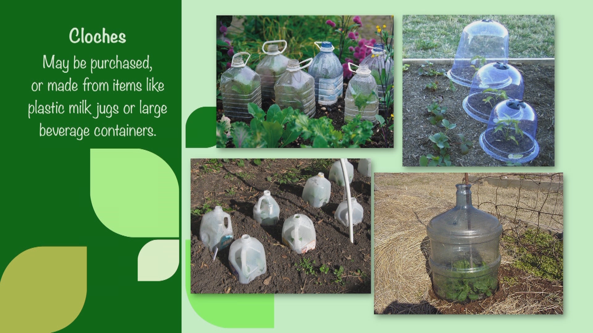 CSU Extension Garden Tips-Plant Protection