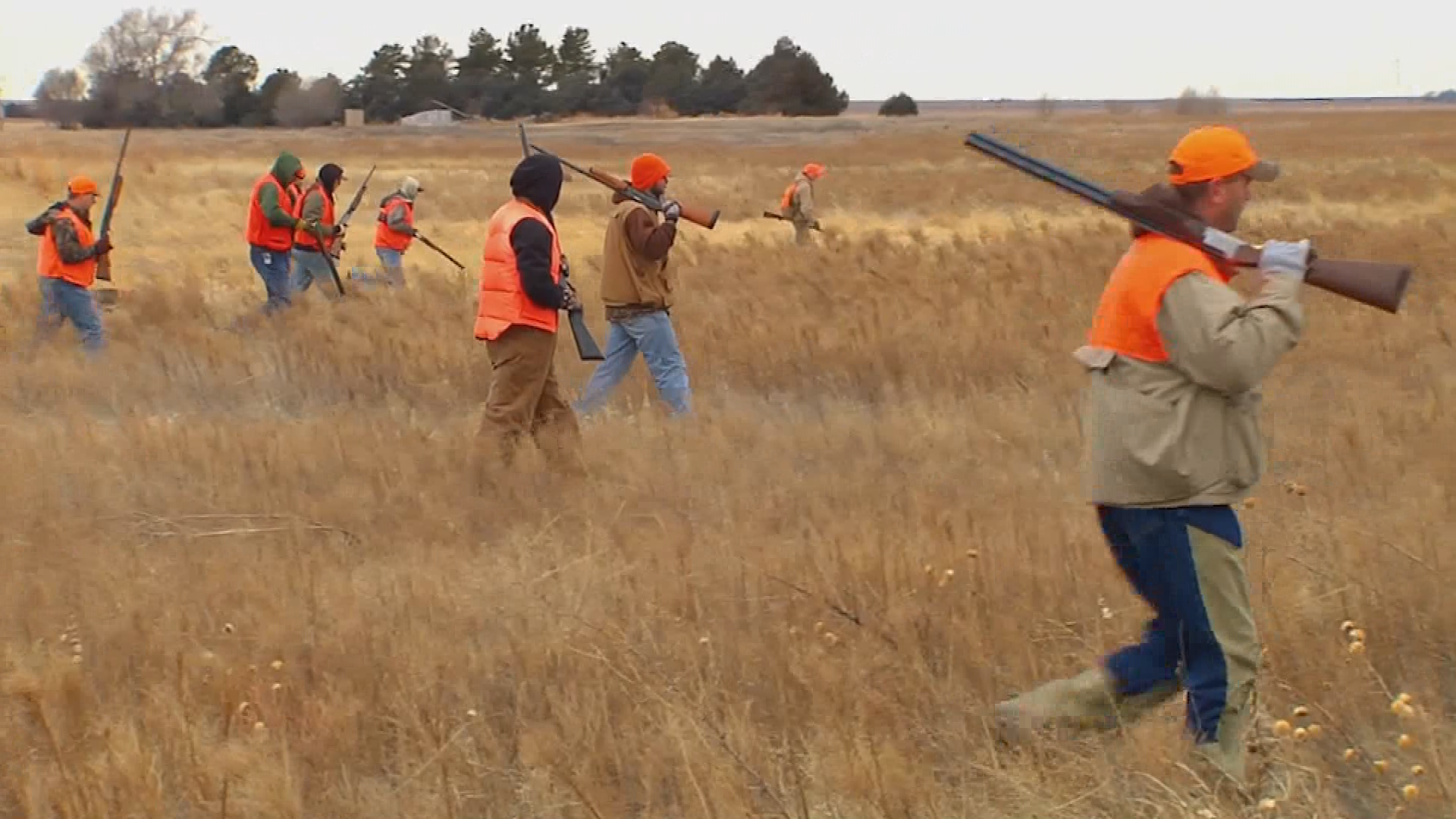 Colorado Outdoors-Pheasant Hunting Colorado (HD)