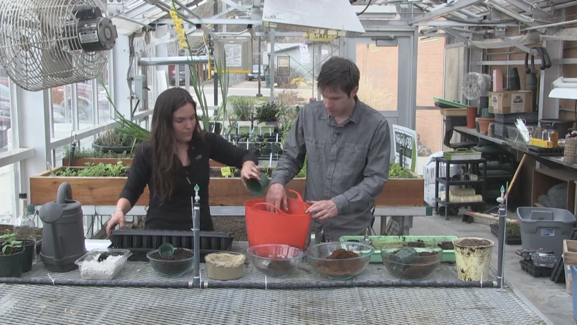 Grow Up! A guide to growing food naturally - Starting Seeds