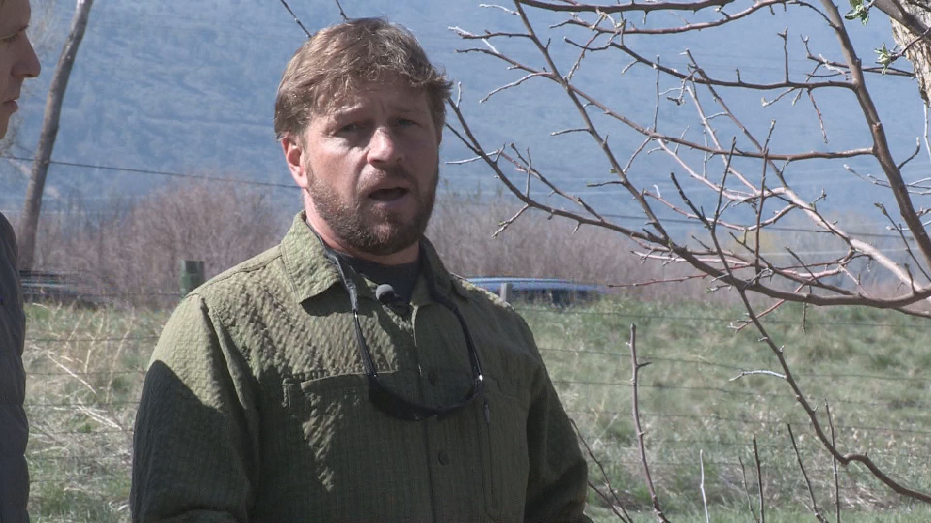Grow Up! A guide to growing food naturally: Tree pruning