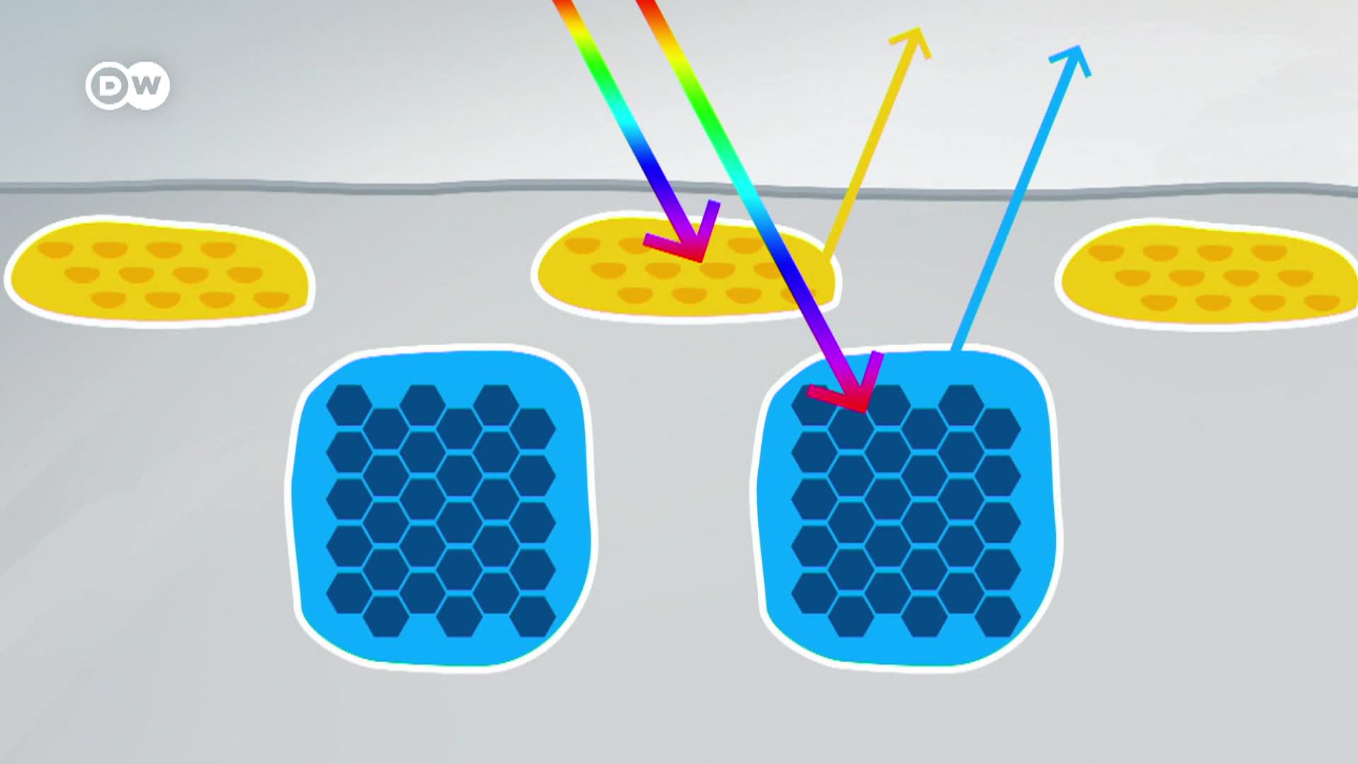 DW Tomorrow Today - The Science Magazine