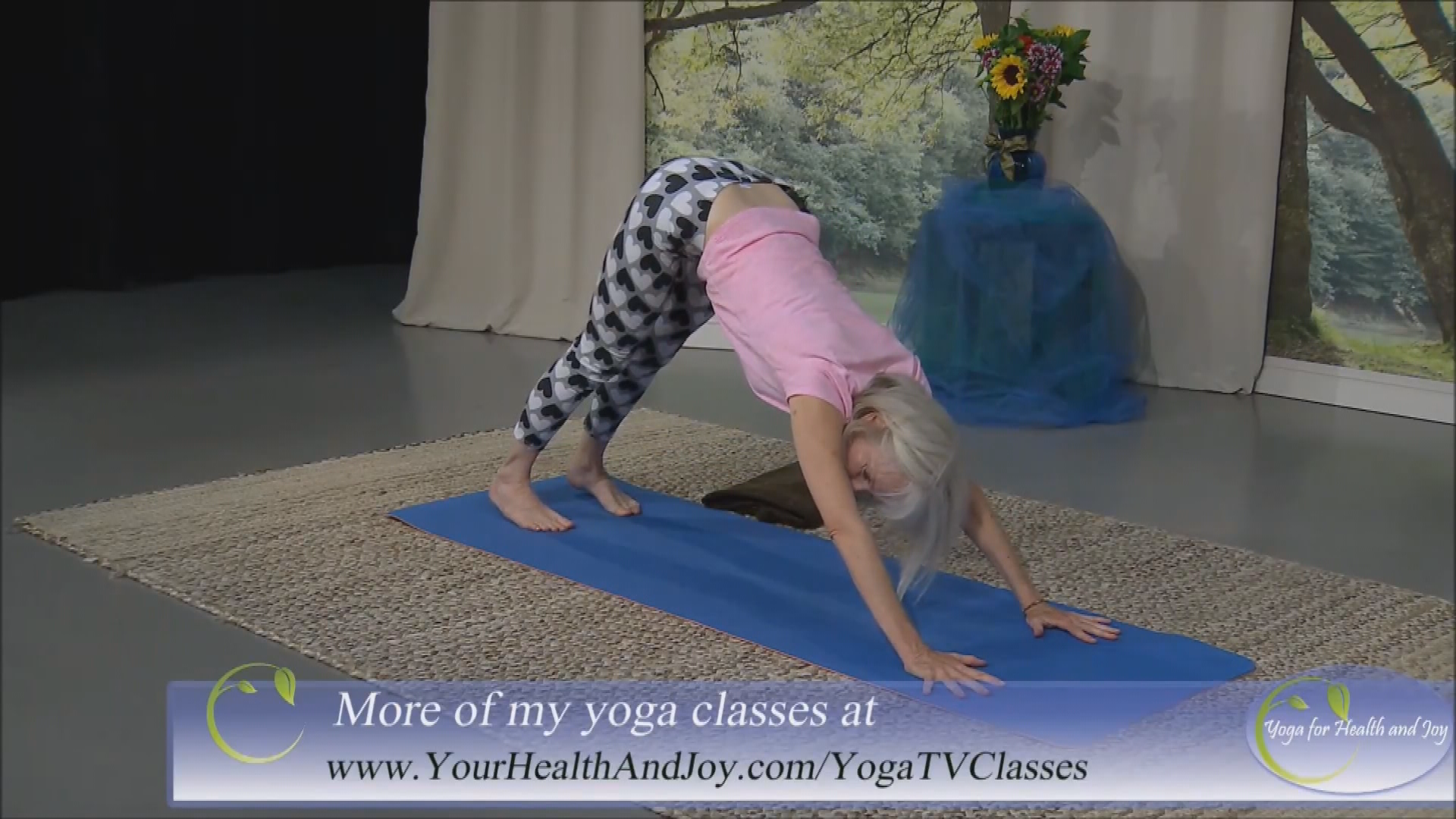 Yoga for Health & Joy-Gentle Yoga for Everybody