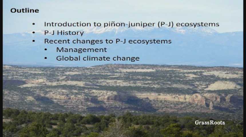 Naturalist Nights - Pinyon Juniper Woodland Response to Climate Change