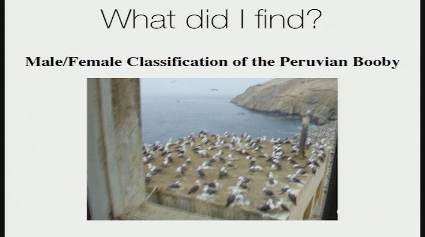 Naturalist Nights - Guarding the World's Finest Guano: A Story of Ecology and Economy
