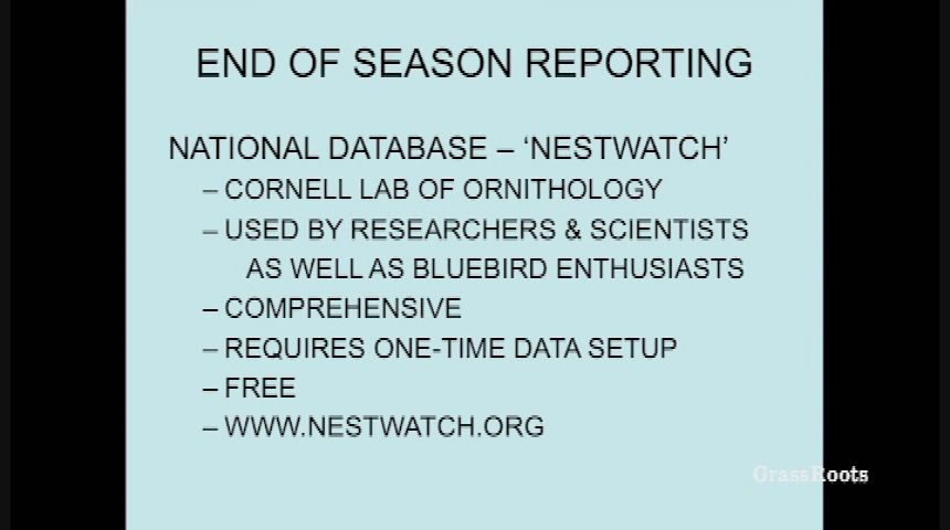 Naturalist Nights - Colorado Bluebird Project