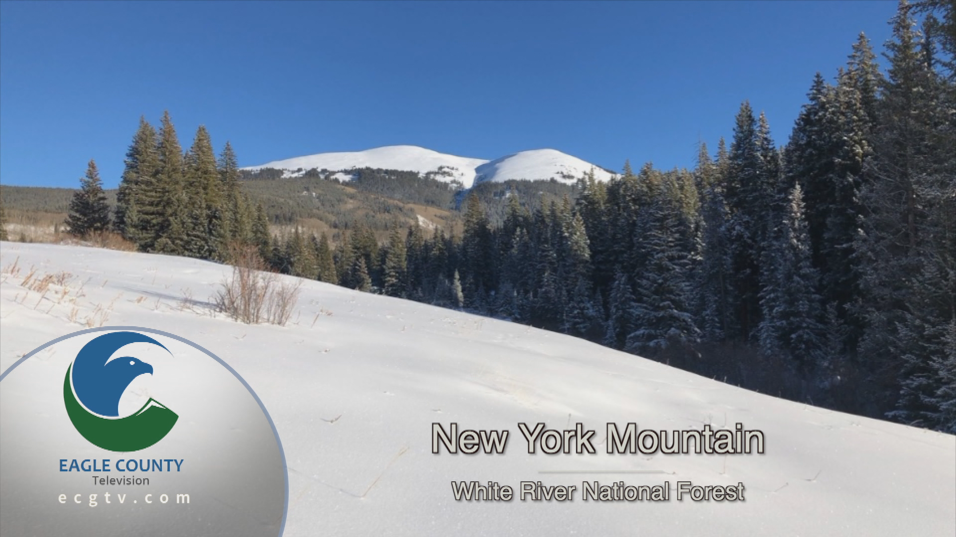 Station ID New York Mountain Winter