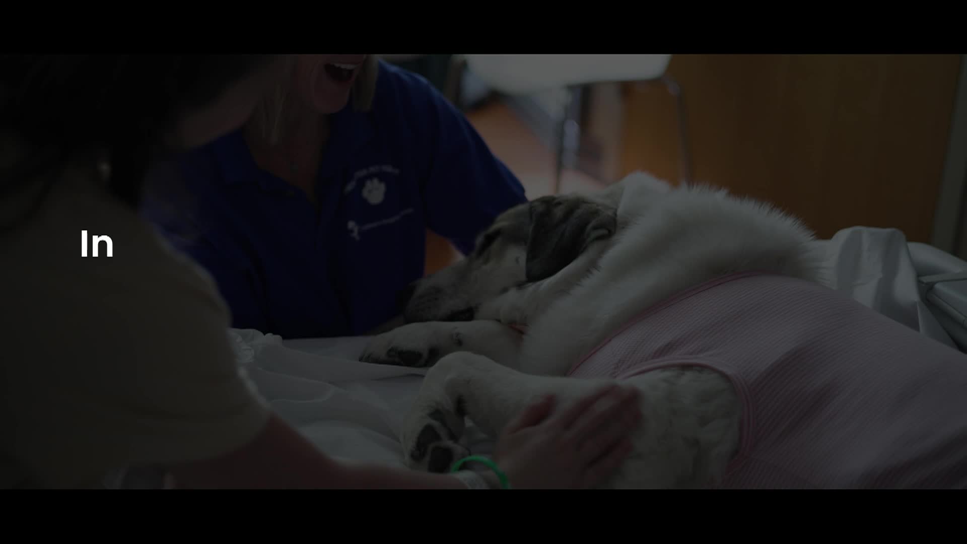 Connected Colorado-Animal Stories